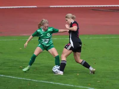 Danes je ob 13. uri bo na NZS potekal žreb 1. SŽNL za sezono 2026/27. Derbi prvega kroga med Olimpijo in Radomljami - Golavt